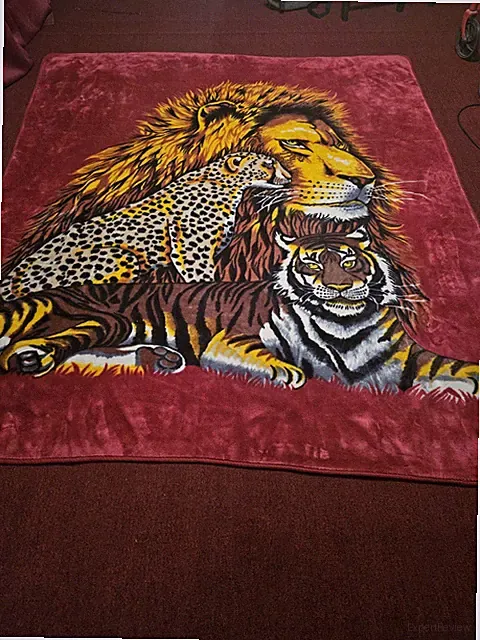 BLANKET nice And Soft